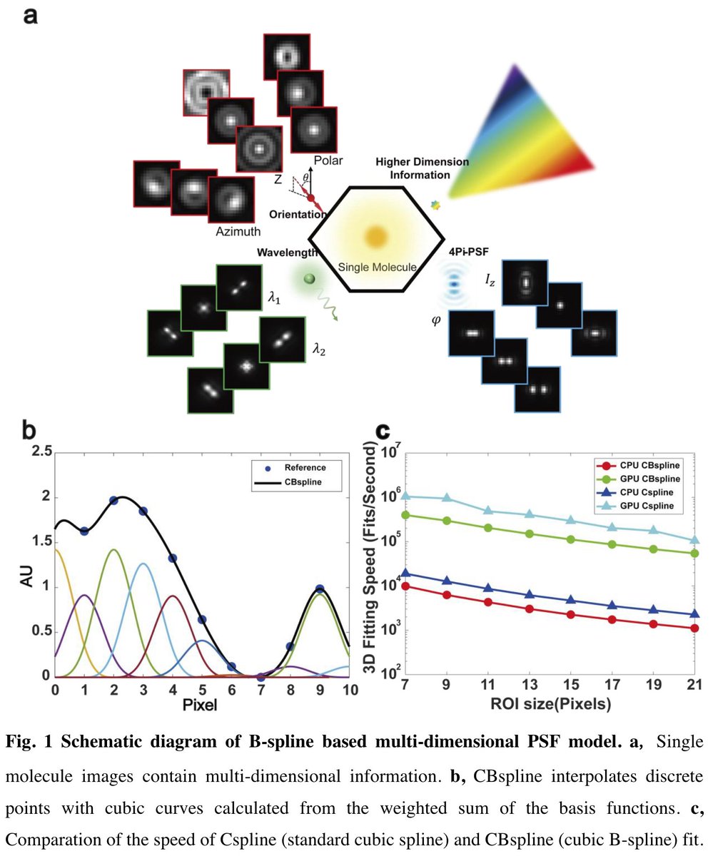 Paper read today #493: Fast and universal single molecule localization using multi-dimensional point spread functions

biorxiv.org/content/10.110…

A PSF modeling method that could flexibly model high dimensional (3D/wavelength/dipole orientation) PSFs.