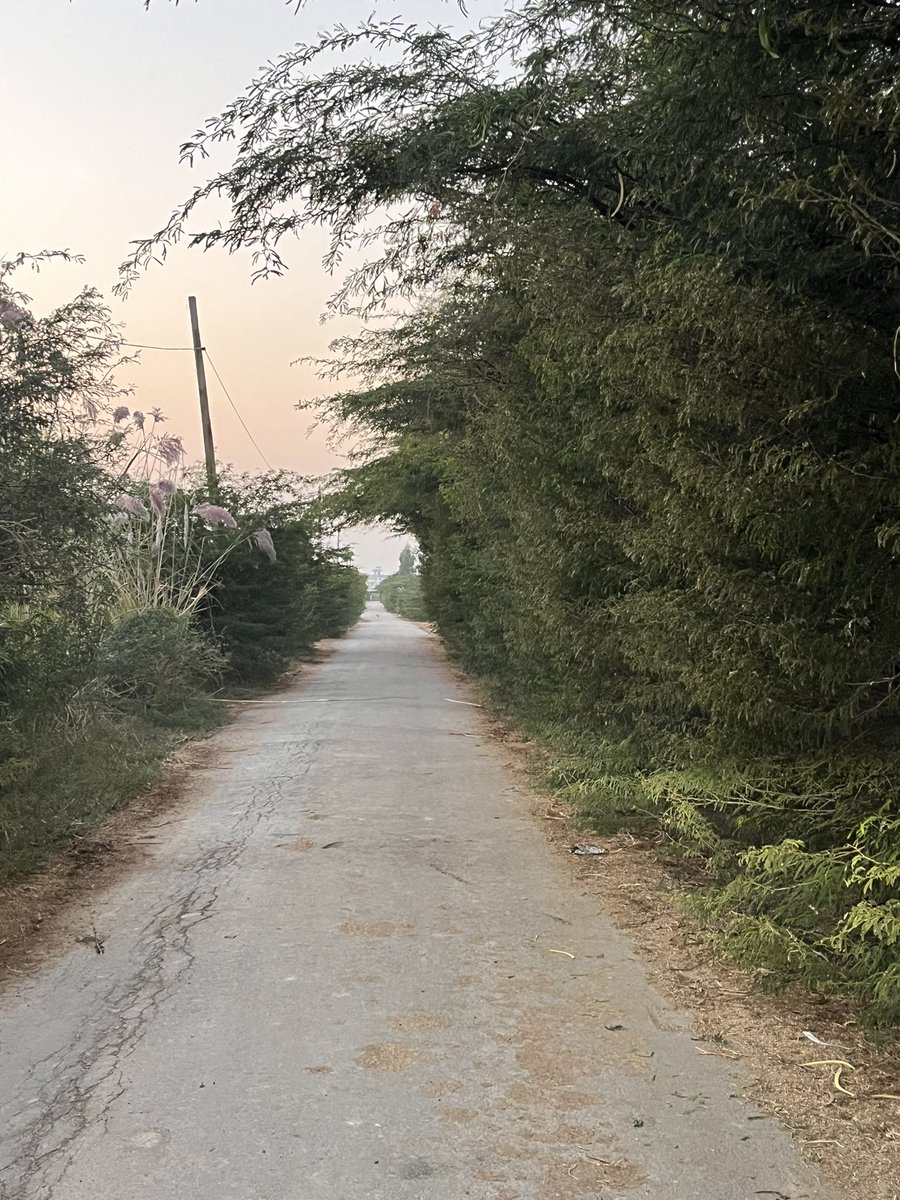MangejT's tweet photo. @cmohry sir tigrana to gujrani road pe kantedar jhadiya ho gai hai exident hone ka dar rahta hai manrega majdoor saaf ni kar rahe hai please saaf karwae mangej Tanwar vpo tigrana district bhiwani 127031 mob no 9050000939 https://t.co/gV6BJEUWQC