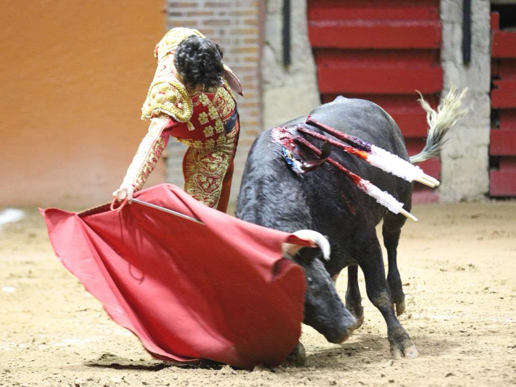 La Antigua
Pepillo 
434 kg

Emiliano Osornio: a abierto la  funcion con Pepillo de la Antigua, con el cual tuvo momentos importantes. 
Palmas.