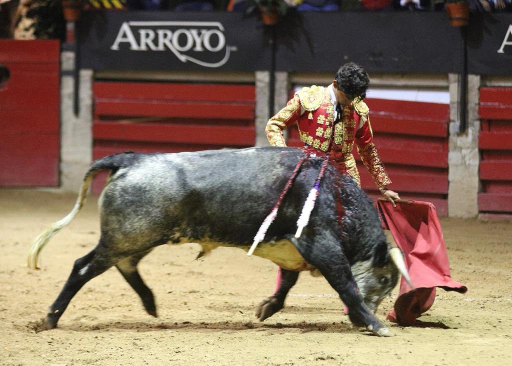 De Haro
Mutuo
412 kg

Emiliano Osornio se ha enfibrado con Mutuo no 3 de la ganaderia de Haro, destacando las tandas por el lado derecho las cuales fueron coreadas, logrando asi cortar la 1ra oreja de la noche
Al novillo se le concede el arrastre lento.