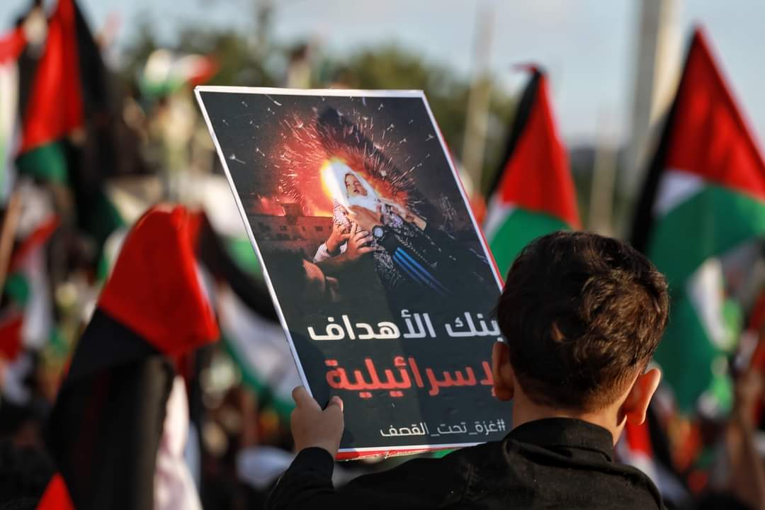 ❦̸̨• ADEN tweet media