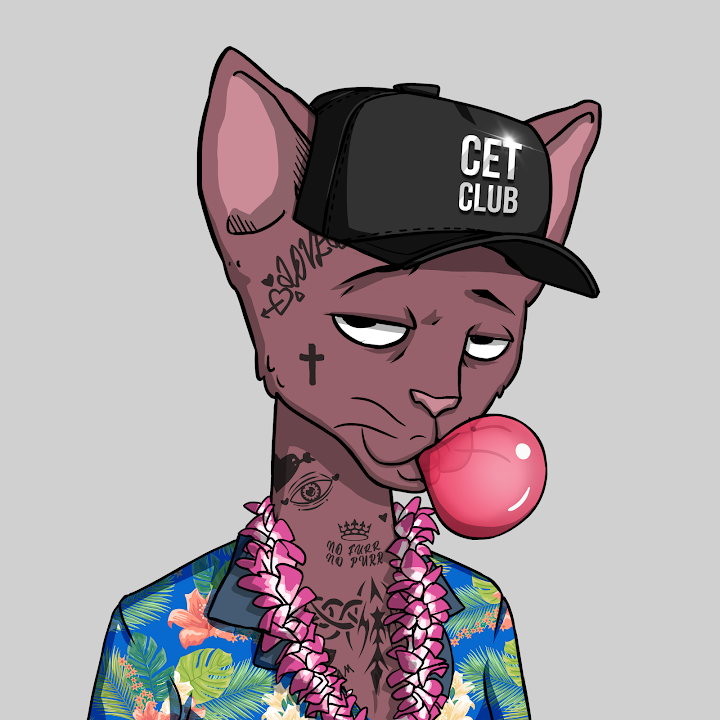 ayşe yılmaz tweet media