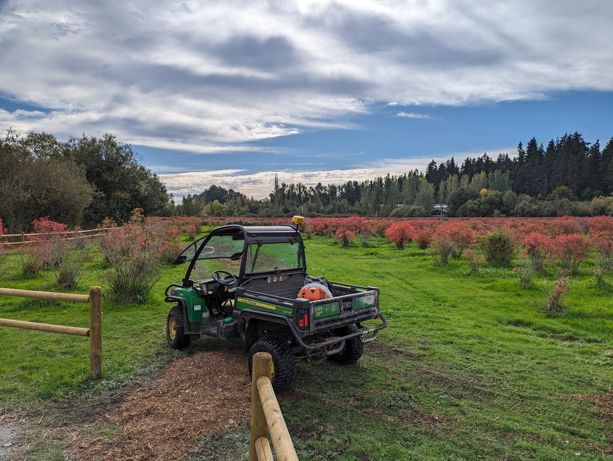 Happy Friday, Bellevue 🍂
 
There is so much to see and feel with the changing colors of Autumn. We always spot something new with every visit to Mercer Slough Nature Park.
 
#bvue #naturepark #bellevuespotting