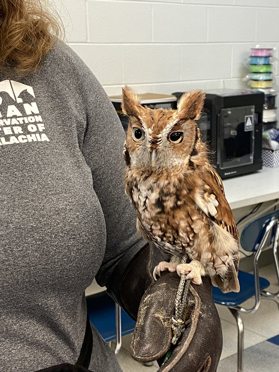 Skyview  Elementary tweet media
