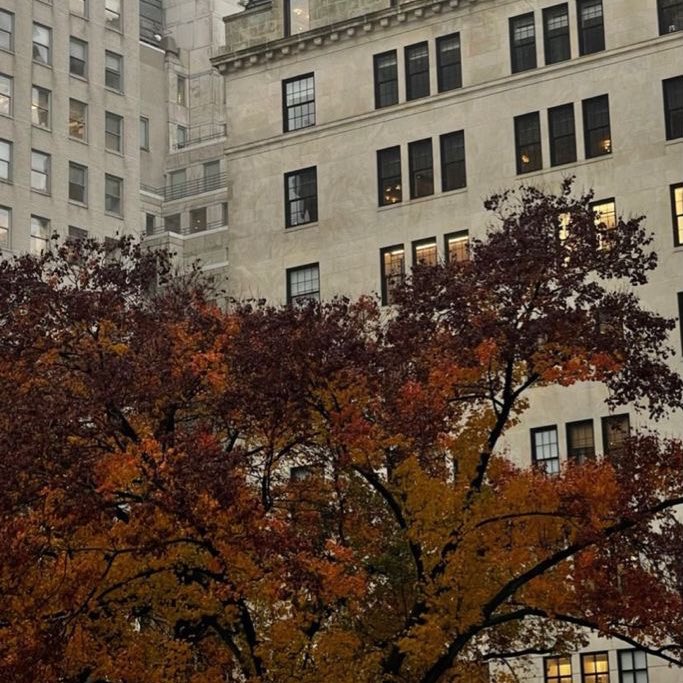 CARTIERANG3L's tweet photo. nothing like autumn in new york https://t.co/L9hKShtfkH