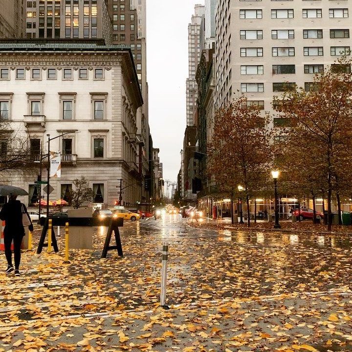 CARTIERANG3L's tweet photo. nothing like autumn in new york https://t.co/L9hKShtfkH
