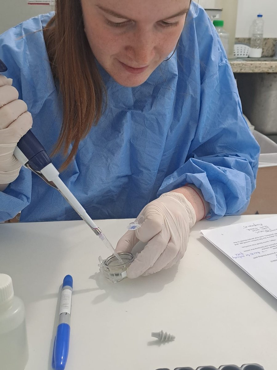 Katlijn De Meulenaere tweet media