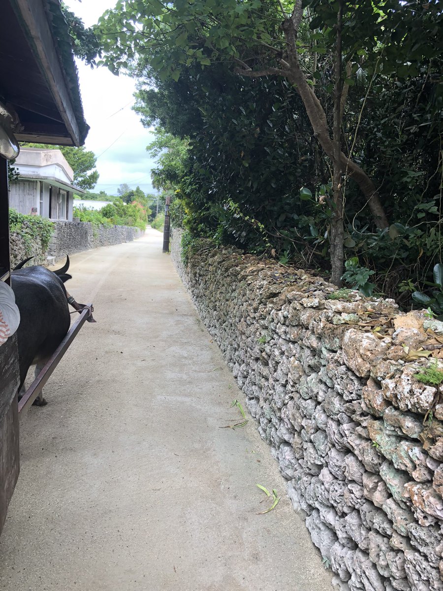 FORTNAOKI's tweet photo. in竹富島 https://t.co/ynjgkuQM4z