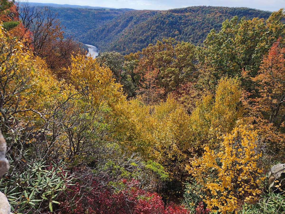 KimVBerg's tweet photo. A little nature can go a long way in stress relief. #CoopersRock #AlmostHeaven #RoadTrip #Family https://t.co/Mt8eiLKqsQ