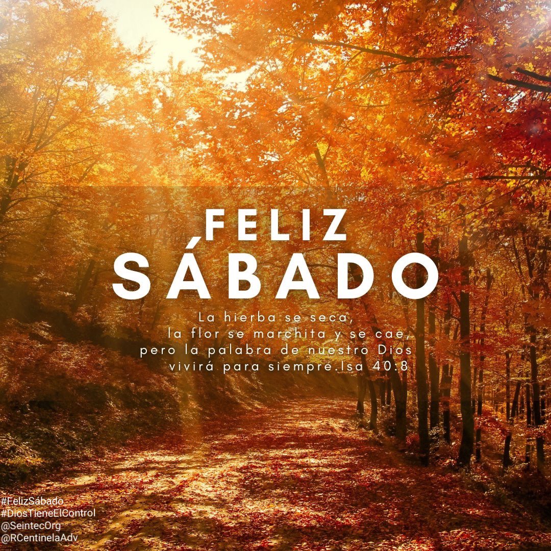 RCentinelaAdv's tweet photo. ¡Feliz Sábado! 🤍🙏🏼

Dios descansó
Dios lo bendijo
Dios lo santificó 

📖Mateo 6:33

#FelizSábado
#BendecidoSábado
#DiosTieneElControl
#JesusNuestraEsperanza
#JesúsVienePronto
#IglesiaAdventistaDelSeptimoDia
#AdventistChurch
#ASD
#SDA
#RadioCentinelaAdventista
#SeintecOrg
#México https://t.co/ulSHmSgcsF