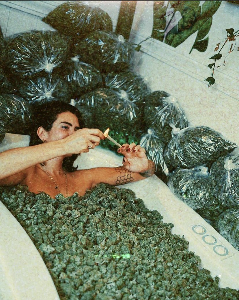 Limpee3's tweet image. 💋💋
#canabiscommunity #Natural