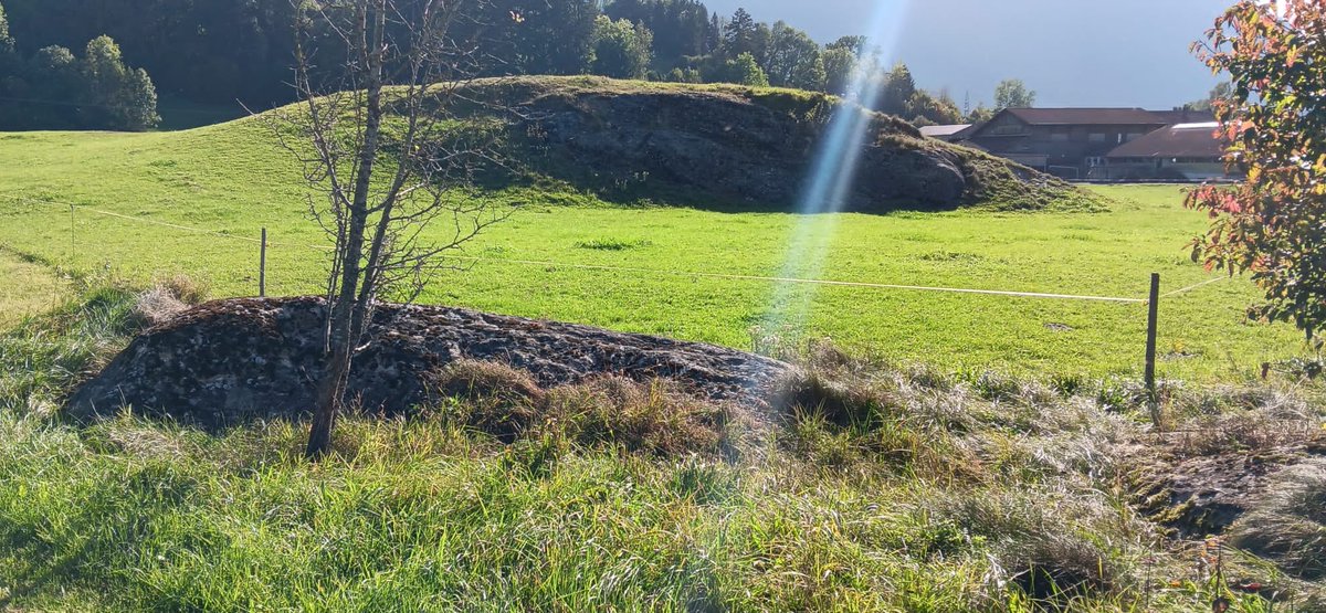 TsunamiSand's tweet photo. 18 ka old #glacial features: Lithics transported at the base of a glacier polished the underlying rock surface of the #Molasse conglomerate #Nagelfluh, creating asymmetric #whalebacks #Rundhöcker which indicate the direction of the advancing glacier (here: right to left). #Allgäu https://t.co/A4bJA4VGs9