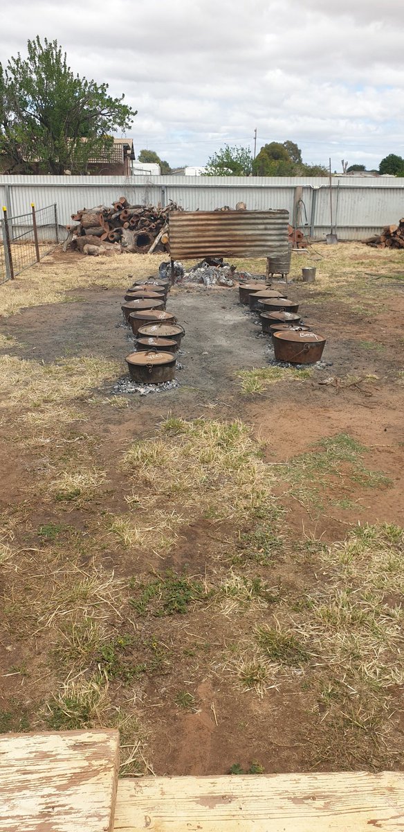 Peter Walch tweet media