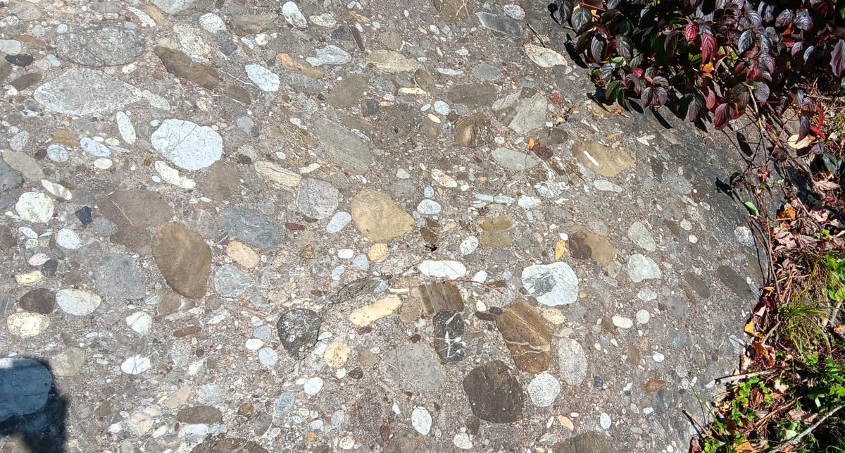 TsunamiSand's tweet photo. 18 ka old #glacial features: Lithics transported at the base of a glacier polished the underlying rock surface of the #Molasse conglomerate #Nagelfluh, creating asymmetric #whalebacks #Rundhöcker which indicate the direction of the advancing glacier (here: right to left). #Allgäu https://t.co/A4bJA4VGs9