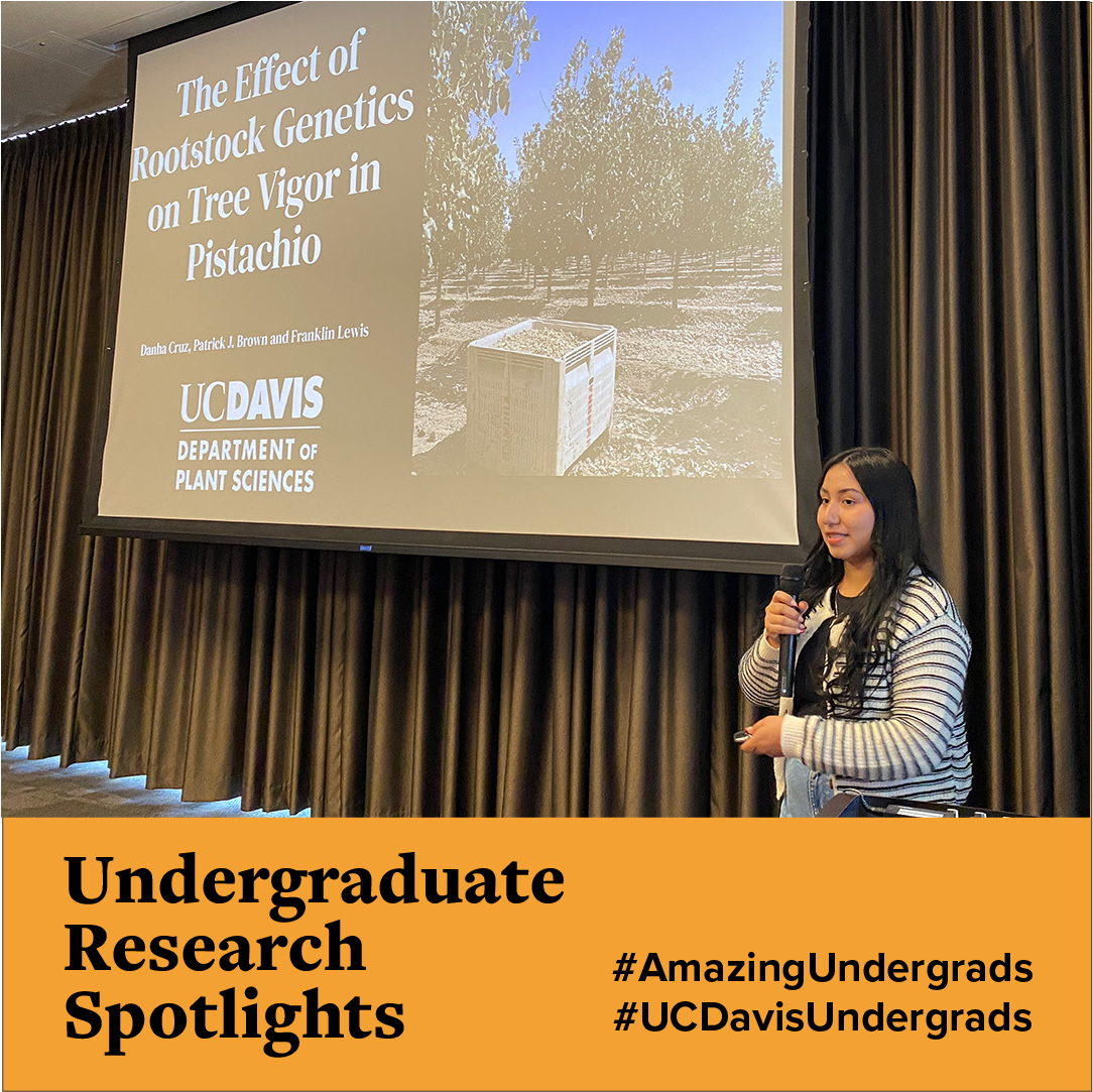 UCDavisPlants's tweet photo. Kudos &amp; many thanks to our #AmazingFaculty for mentoring #UCDavisUndergrads who presented their research this week. @blanco_ulate @amandavcrump @GDrakakaki @amelie_gaudin + more!
#1intheWorldPlantSciences #AmazingUndergrads #FutureScientists https://t.co/GsLlNJcvYX
