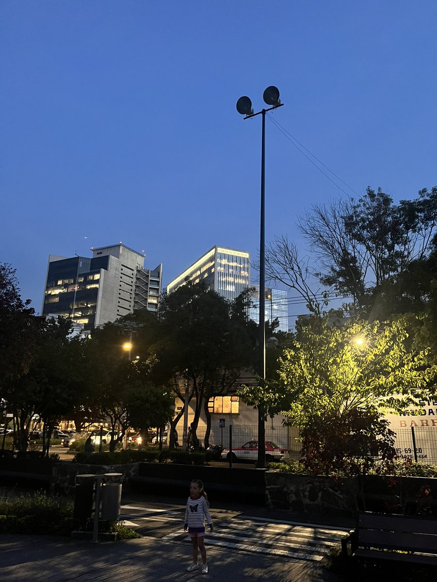 diego_lun's tweet photo. @BJAlcaldia @AccionesBJ nos podrían apoyar a poner luz en las lámparas del parque de la Nápoles Alfonso Esparza Otero por favor? Muchas gracias! https://t.co/hJfp9nrGmX