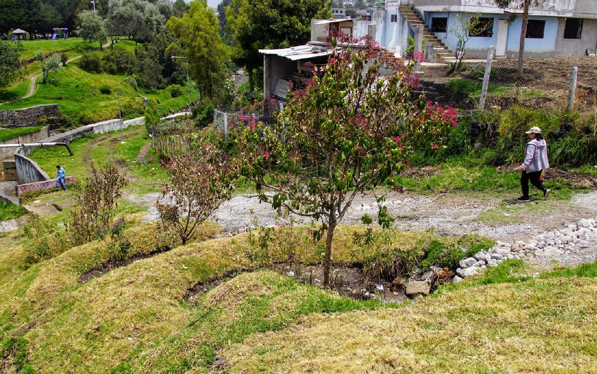 Parque Caupicho, ganador del premio Sostenibilidad en la Construccion, categoria Infraestructura sostenible !!! 

#solucionesbasadasenlanaturaleza