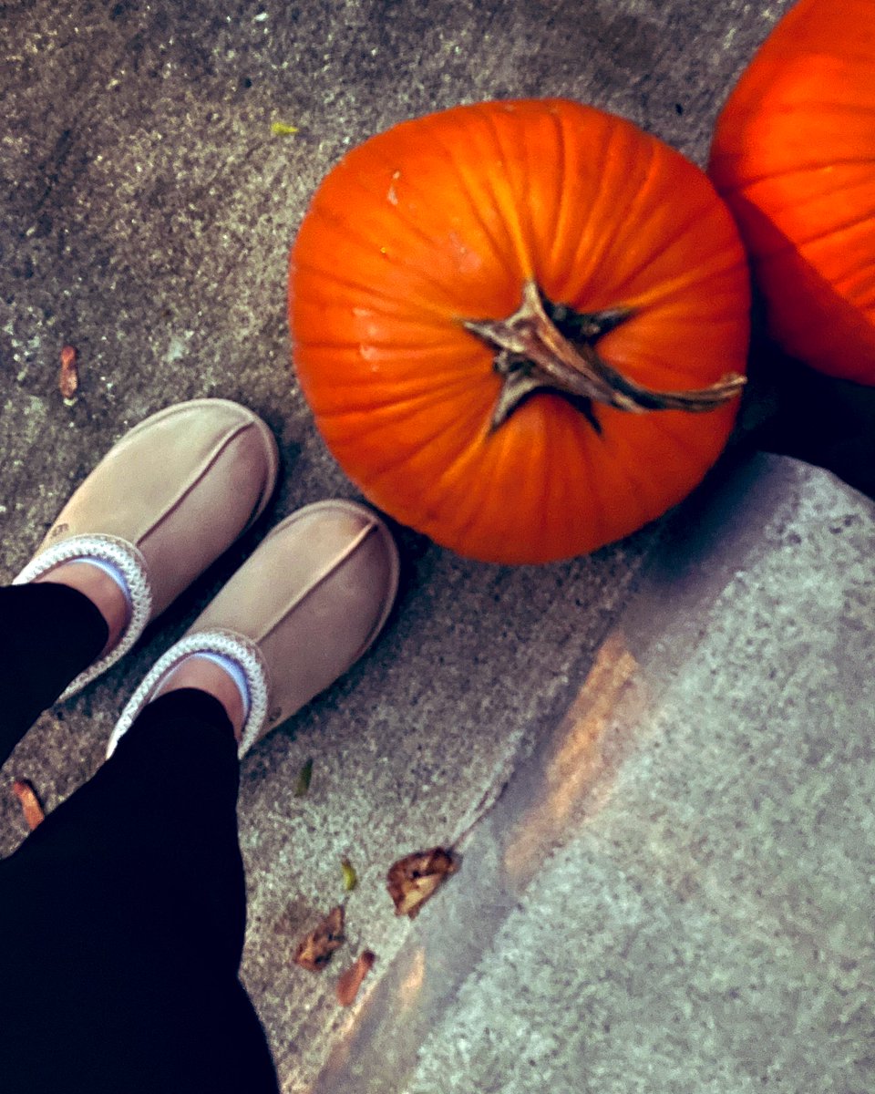 Autumn is easily my fave season 🍁🤎🍂

#uggs #UggSeason #tasman #pumpkins #fall #Autumn #aesthetic  #ldont #westernu