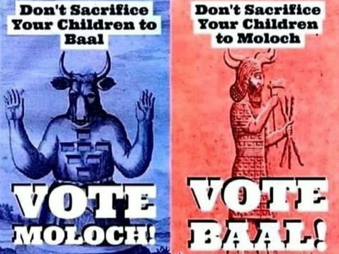 🤖🔪 tweet media