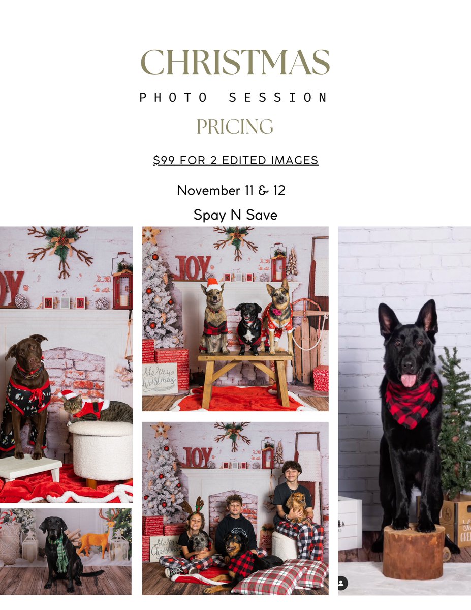 November 11th and 12th A 15-minute Holiday Photo Session. The session includes a $75 donation to Spay n Save and two full-size digital images.  Support an amazing cause!
marciefryphotography.com/spay-n-save-fu…
@marciefryphoto @spaynsaveorlando
#orlandopets #petholidayphotos
