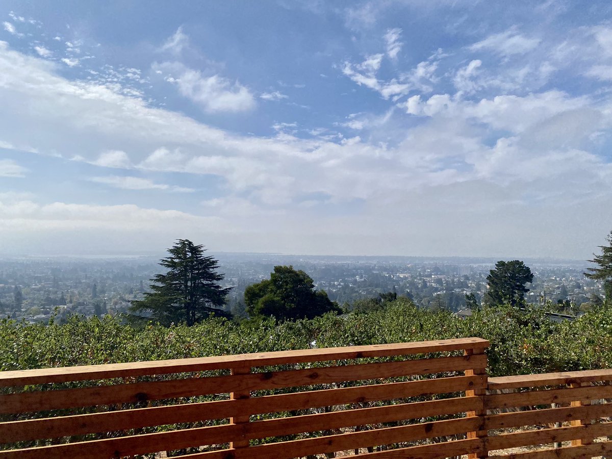 SanAntoGuera's tweet photo. California Dreaming… celebrating my first grandchild’s arrival in about 8 weeks! #BabyShowerTime https://t.co/XMpABDOEpy