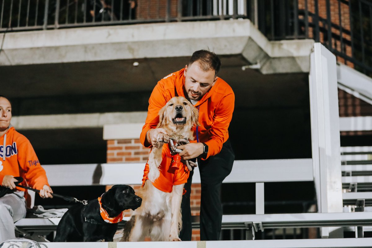 Pups on the Pitch > everything else 🐶