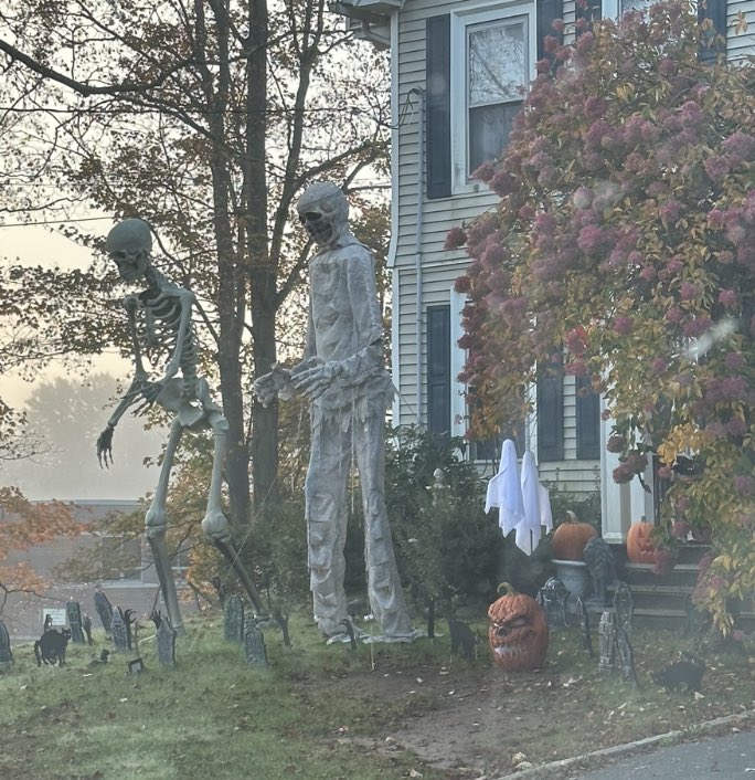 Tom Zarecki, MBA tweet media