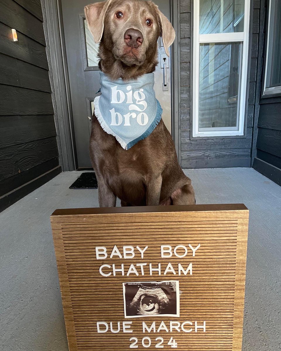 Baby Chatham coming March 2024 🫶🏼

The sweetest, most joyous months of my life. 
Thankful for all of our friends and family who have loved and supported us so much already.
