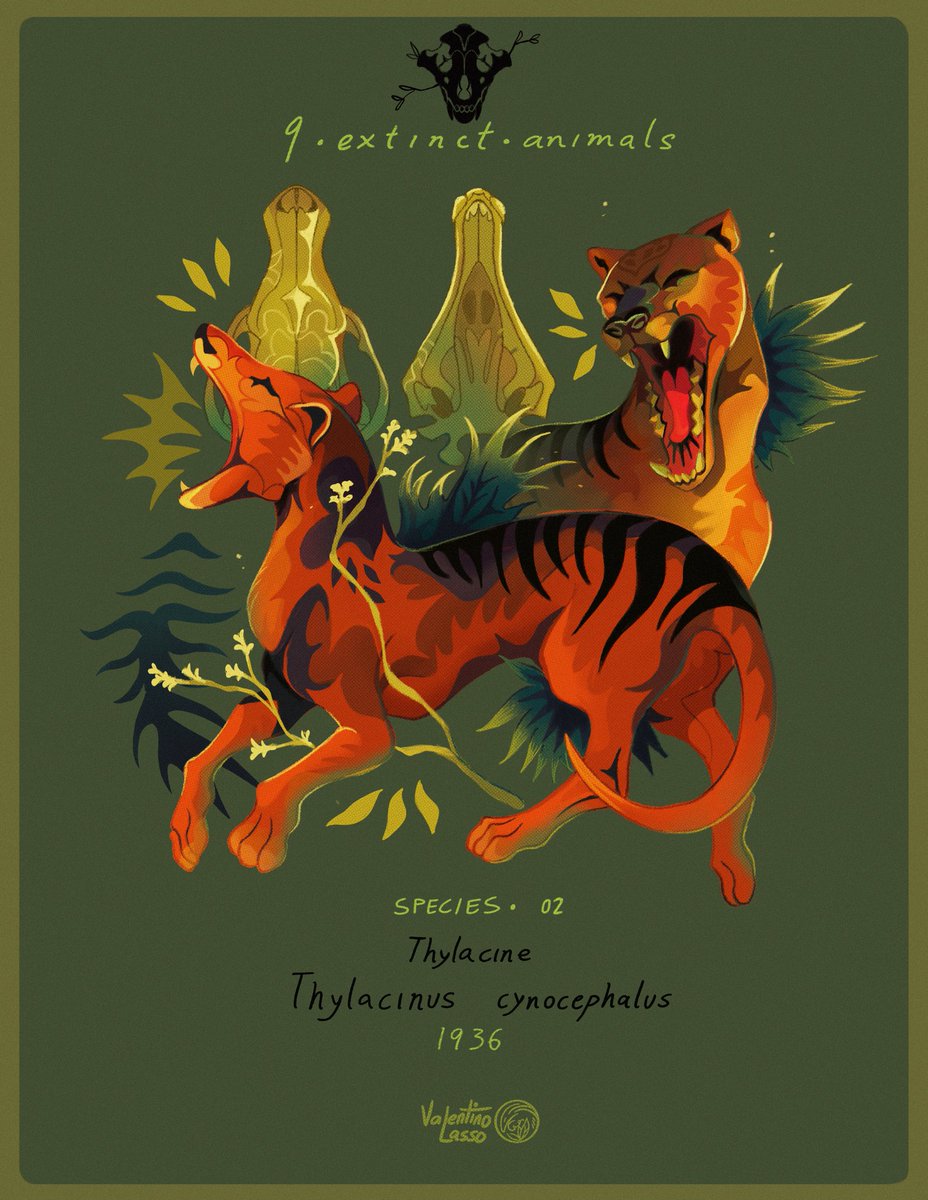 9•extinct•animals🌿
SPECIES 02• The Striped Marsupial