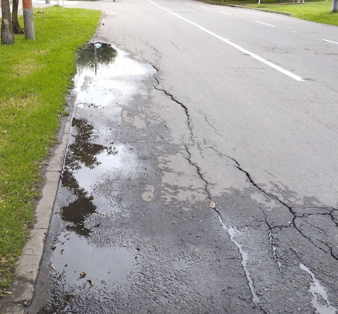 Falla longitudinal en una vía. La acumulación de agua debilita el terreno aledaño y facilita la perdida de confinamiento que provoca la grieta.
Es fácil ver qué la grieta existe dónde está el agua, mientras la zona seca al fondo no tiene grietas
#construccion #obrasciviles
