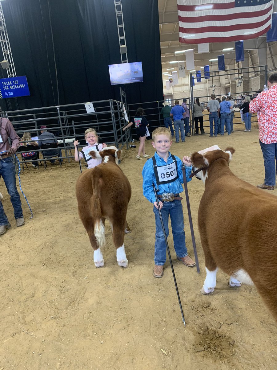 TiffDowell's tweet photo. It was a heck of a day for our crew in Dallas at the @StateFairOfTX! #miniherefords #stockshowlife https://t.co/SZQJ1DKY3r