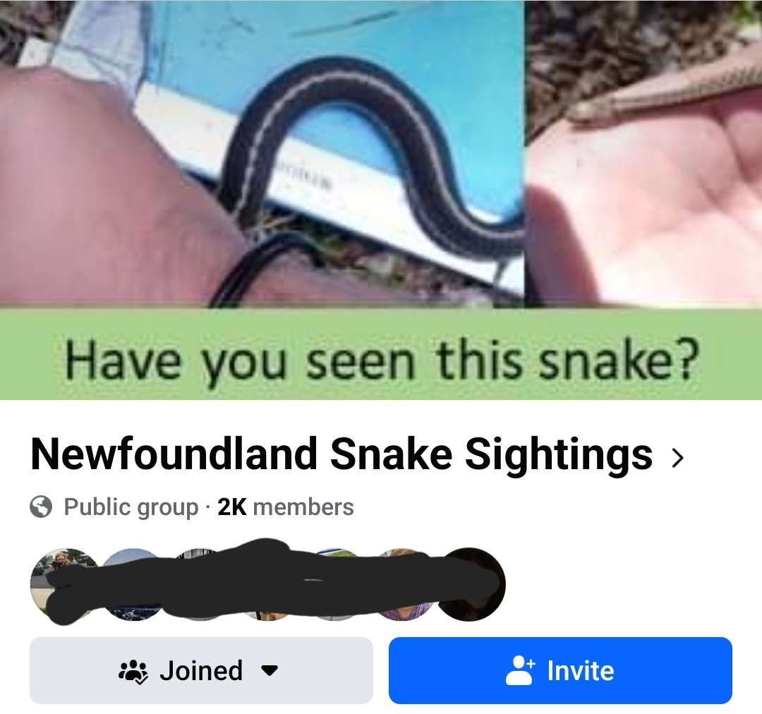 I know a few by's who could be posted in this group