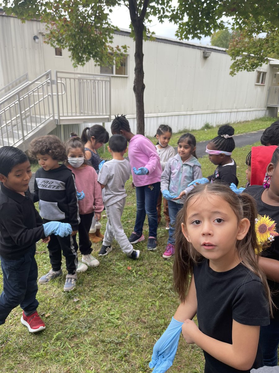 Mrs. Parker's swans tweet media