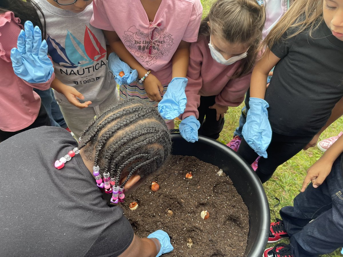 Mrs. Parker's swans tweet media