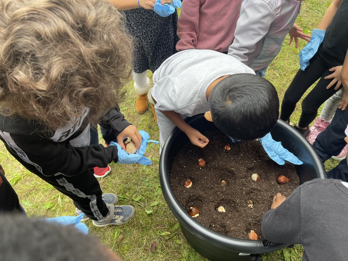 Mrs. Parker's swans tweet media