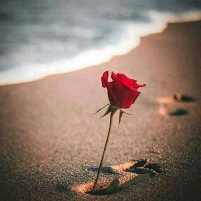 Quarry Explorer tweet media