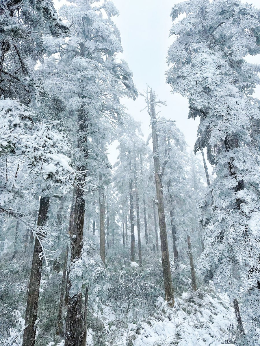 JanethAaro's tweet photo. There are still 60 days left until winter, and we can see snowflakes again soon❤️❄️☃️🎿⛷️🧡 https://t.co/RFhosaHJUO