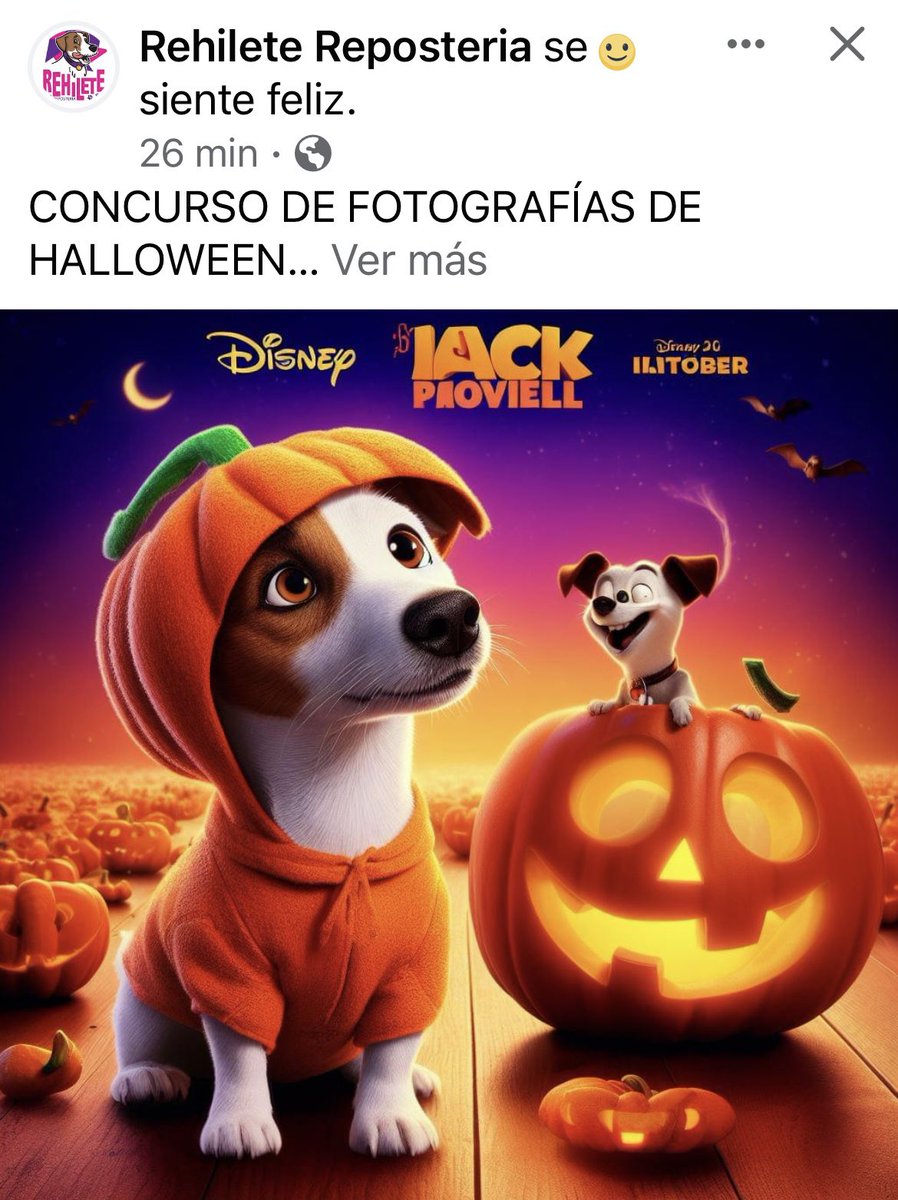 RehileteRepos's tweet photo. Ya nos sigues en #Instagram ? No dejes de hacerlo tenemos una promoción https://t.co/zMuPhIi810