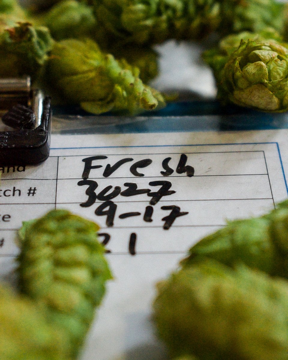 cdangerbrewer's tweet photo. *Red Sky IPA - a brilliantly crafted Red IPA that masterfully balances sweetness and bitterness. The aromas are an exhilarating symphony of pine resin, zesty grapefruit, and hints of dark fruits.
We can't wait to see you at the brewery tomorrow! 🍻

#freshhopfest #freshhopbeer https://t.co/TPOllHSQdU