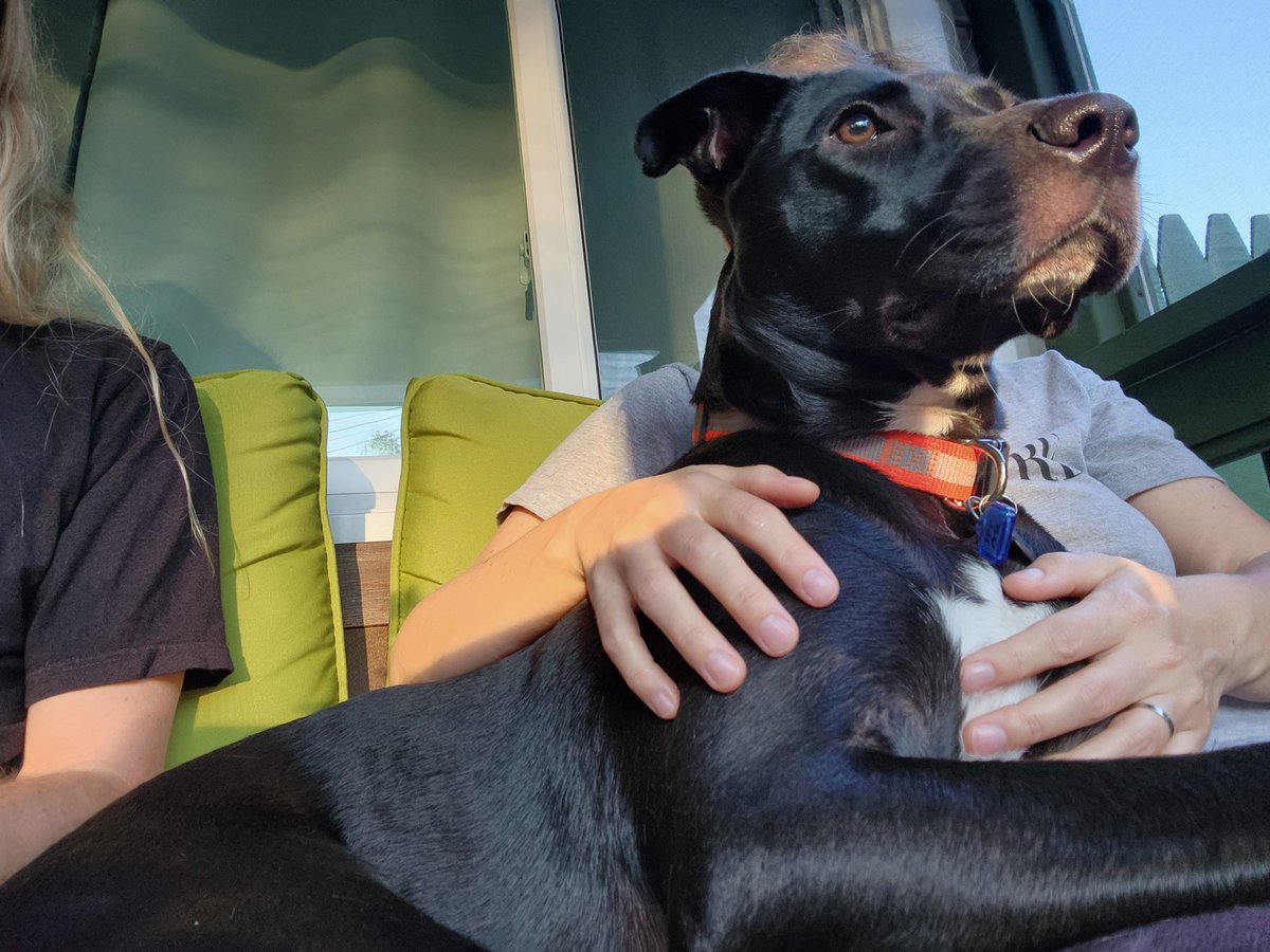 Jon Fisher tweet media