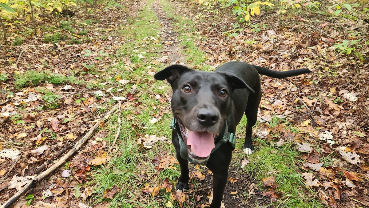 Jon Fisher tweet media