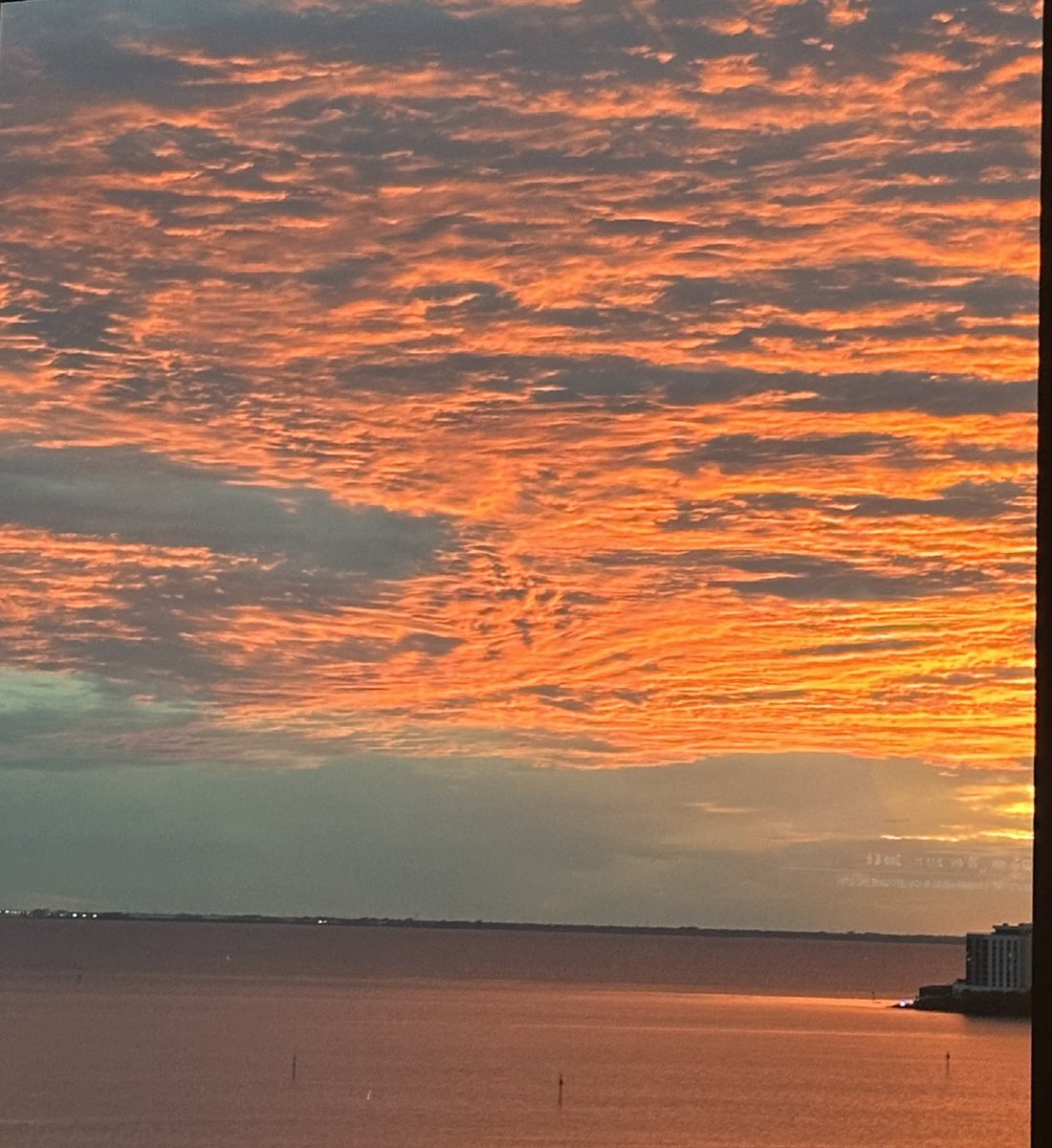 mizzgould's tweet photo. Bay Life ❤️❤️ https://t.co/03tBDGJOGd