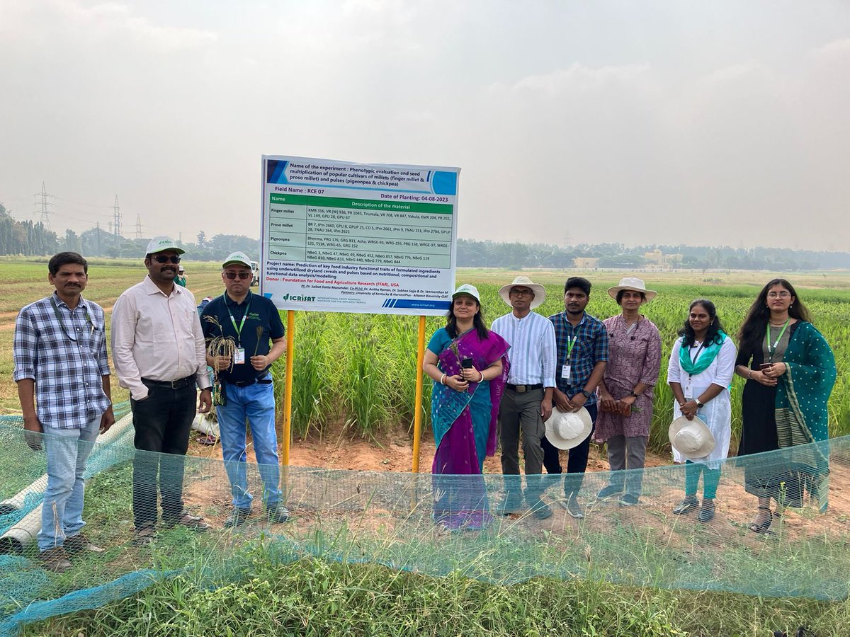 Saikat DattaMazumdar (@sdattamazumdar) on Twitter photo Understanding millets from “Farm to Fork”. Field <a href="/ICRISAT/">ICRISAT</a>, breeding and nutrition-food science team , growing a diverse varieties of Proso and Finger Millet for further exploring their diversity in terms of nutritional and food industry traits. Project funded
by <a href="/FoundationFAR/">Foundation for Food & Agriculture Research (FFAR)</a> Understanding millets from “Farm to Fork”. Field <a href="/ICRISAT/">ICRISAT</a>, breeding and nutrition-food science team , growing a diverse varieties of Proso and Finger Millet for further exploring their diversity in terms of nutritional and food industry traits. Project funded
by <a href="/FoundationFAR/">Foundation for Food & Agriculture Research (FFAR)</a>