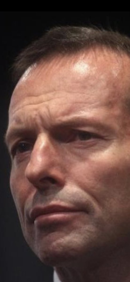 The Nasty Party’s Tony Abbott now wants the Aboriginal flag pulled down from all public buildings and the respectful/inclusive Welcome to Country ritual abandoned. LNP is going on Trumpist campaign to make us fearful of immigration to win over not so rusted-on Labor voters.