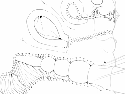 線画やってる時がいっちばん
"描いてるッ!"って感じで楽しい(*'ω`*) 