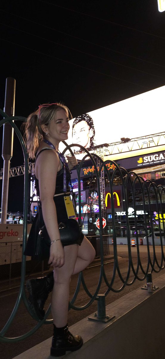 Cellibi 🐙 tweet media