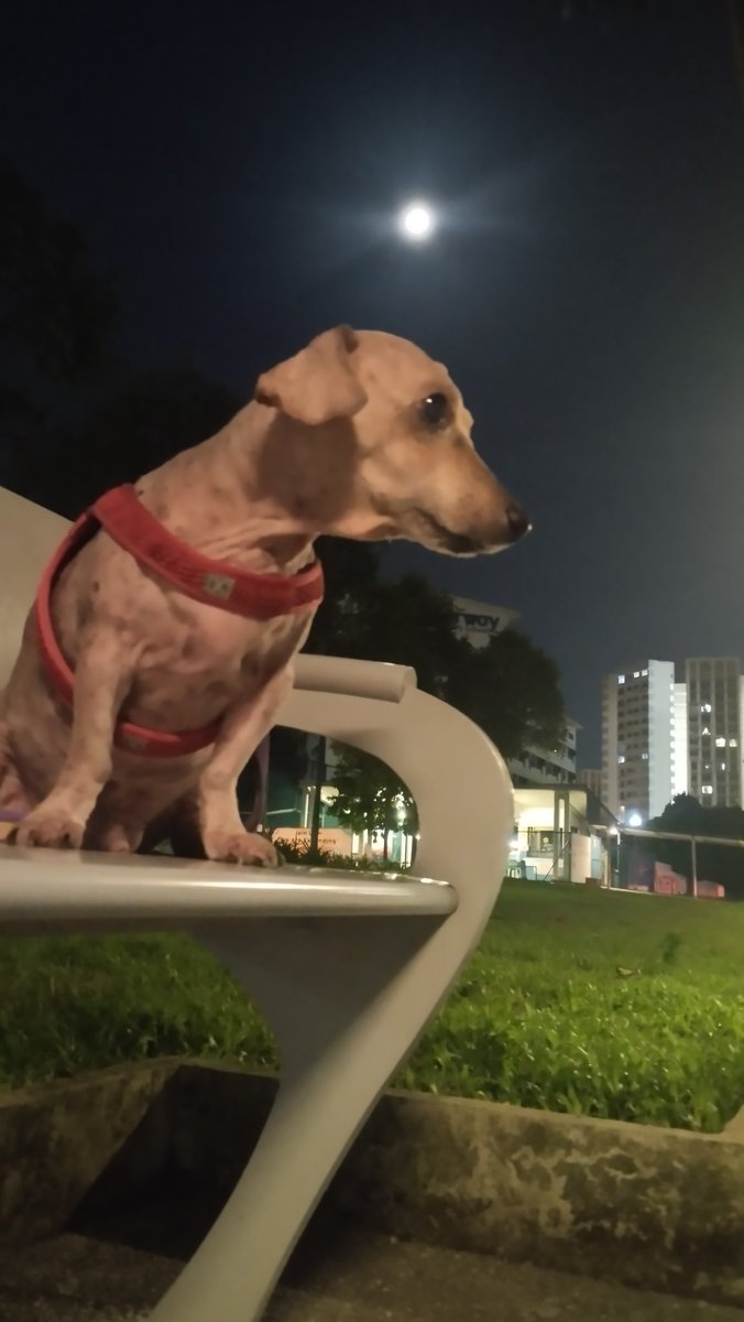 JOY JehaDaeum🍓💍 🔫 ️🍂🌱🌳YbKmJkNgShJcEpMsFtPw🫶 tweet media