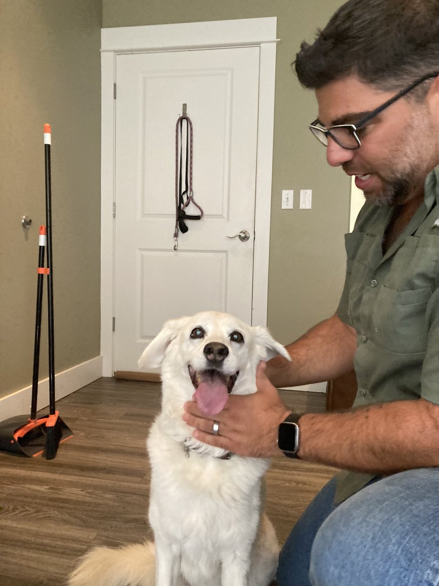 BrodyGraduate's tweet photo. Best way to celebrate my #abandonversary? Practicing self care with @zandichiropractic ! I was skeptical at first but feel amazing now.  Thanks Dr. Sepe! And thanks to @SpartanHumane and @dcluckydog for saving me 11 years ago today.  #grateful #bestlife #luckydog https://t.co/mveJ02jtiQ