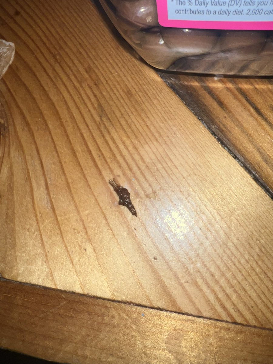 Jackie Smith tweet media