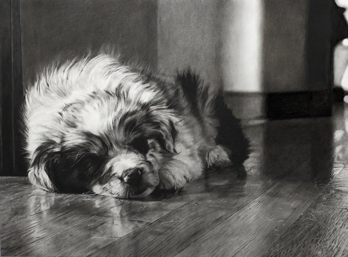 This is my most recent commission completed in charcoal! #charcoal #art #gallery